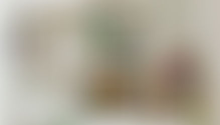 레고는 왜 보태니컬 시리즈를 정식으로 냈을까?