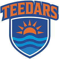 TEEDARS_LOGO_2025.jpg