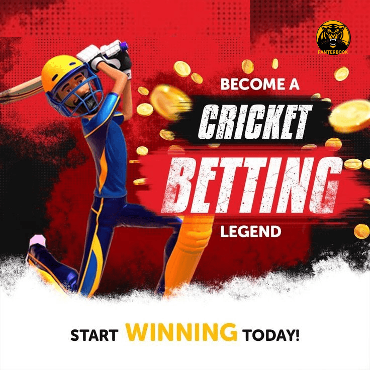 What Is Back and Lay in Cricket Betting?