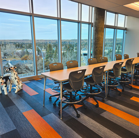 Fusion Collegiate Project - Classroom with a view