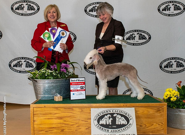 356698755_6708032779229130_3827418219514357803_n (1).jpg