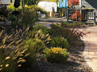 Windwood Outdoor Services: Santa Cruz Garden Maintenance Blog