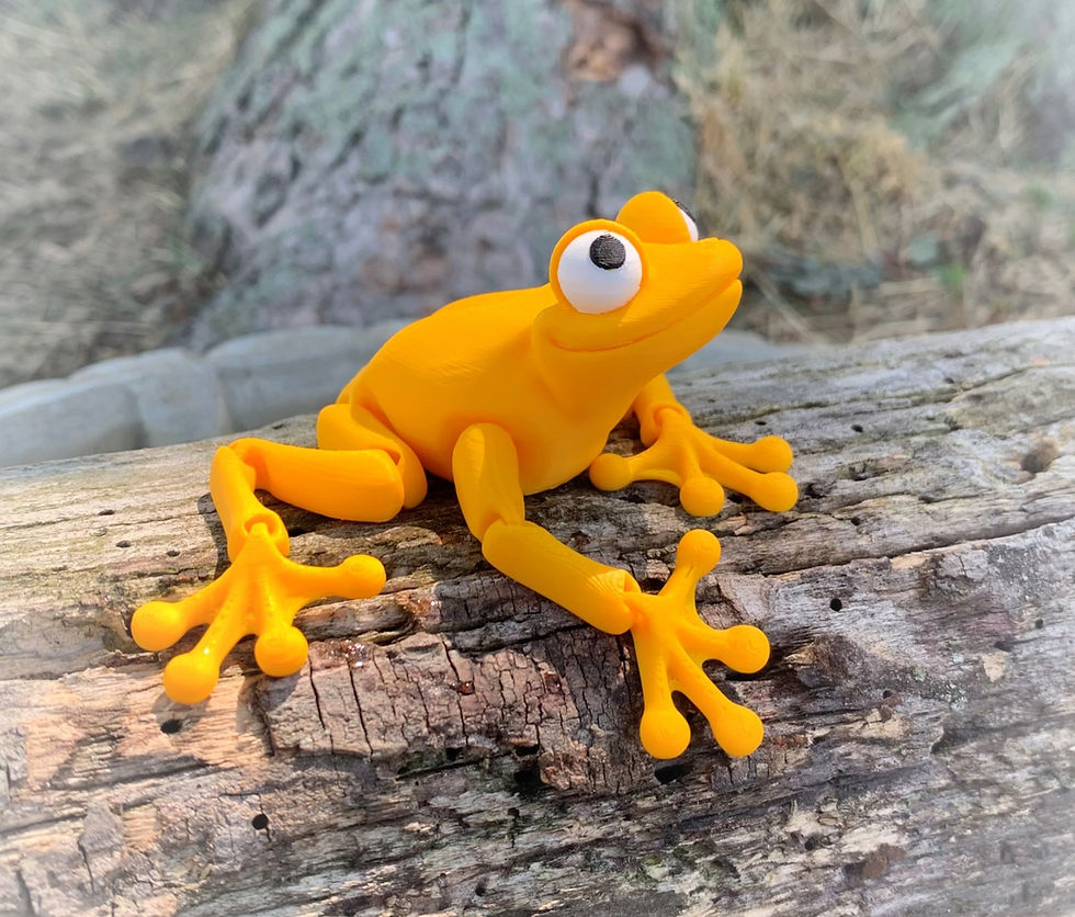 Thumbnail: Frogs