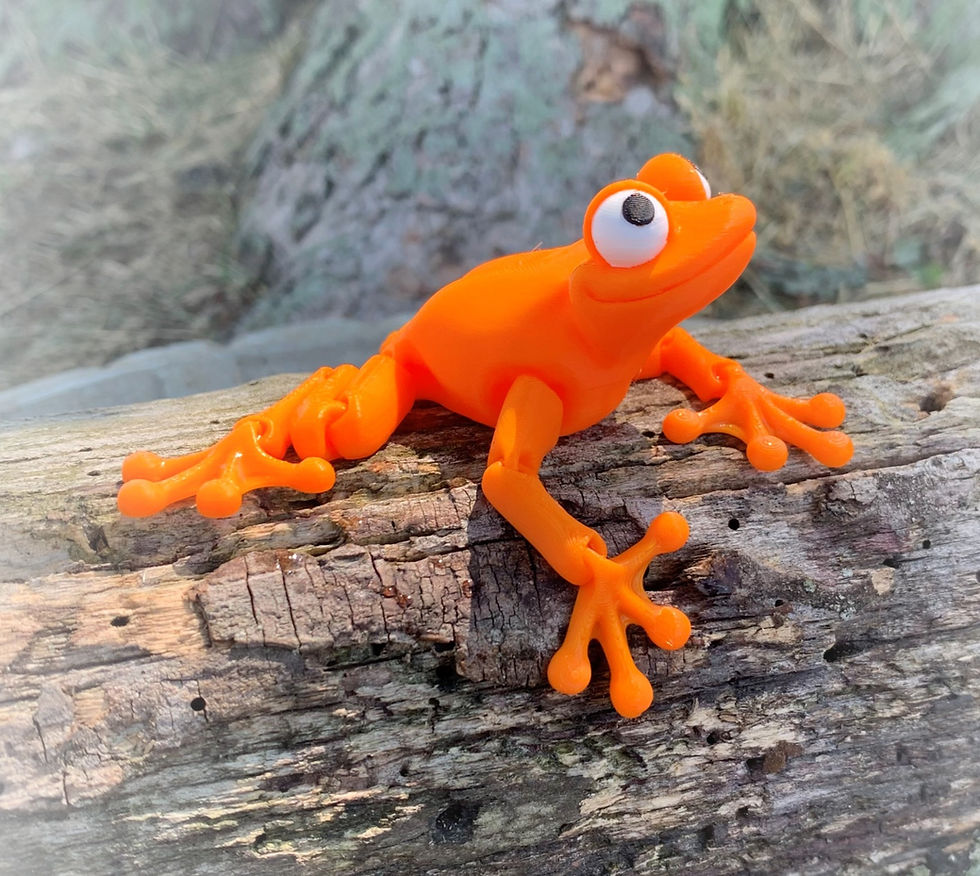 Thumbnail: Frogs