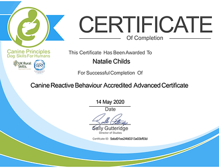 05 14 May 2020 canine-reactive-behaviour-accredited-advanced-certificate.png