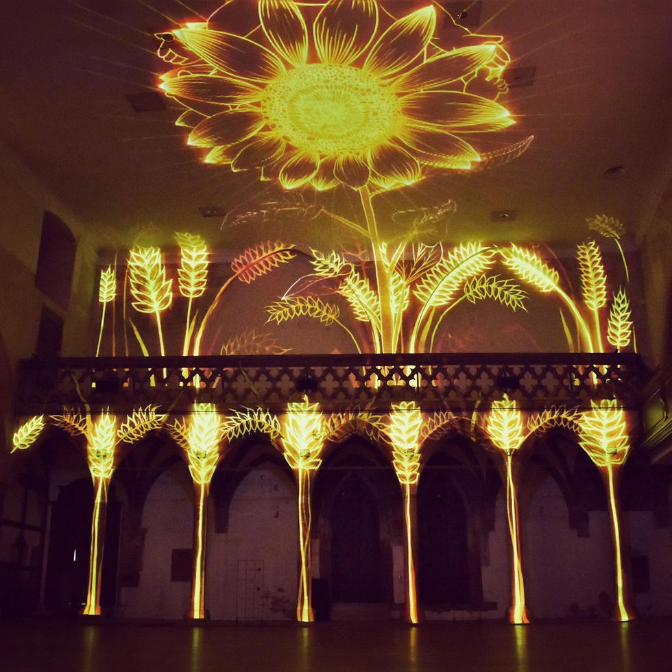 Des brins de blés et un tournesol en trait fin et doré projeté dans l'église saint pierre le vieux à Strasbourg , Nootoos