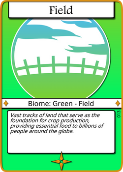 Field