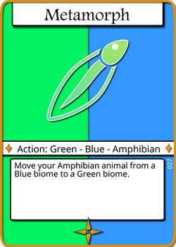 Metamorph