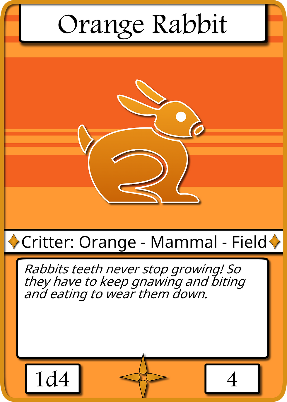 Orange Rabbit
