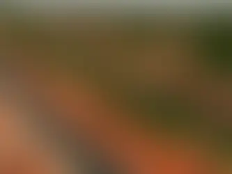 Co více podporuje ekonomiku?