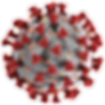 SARS-CoV-2_without_background (1).png