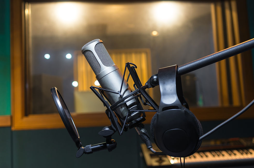 professional-condenser-studio-microphone-with-earp-2024-10-18-08-28-45-utc.jpg