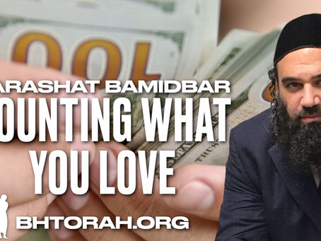 Parashat Bamidbar - Counting What You Love
