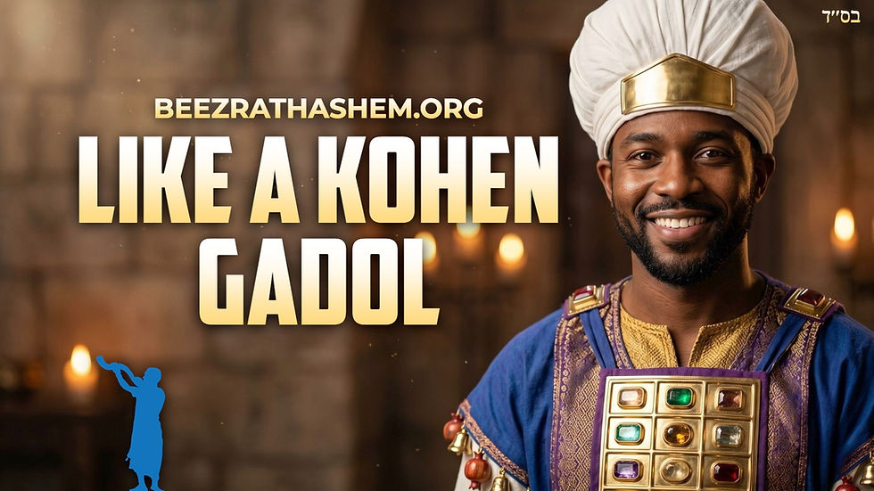 This Gentile is like a Kohen Gadol