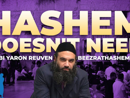 Proof HaShem Doesn't Need You