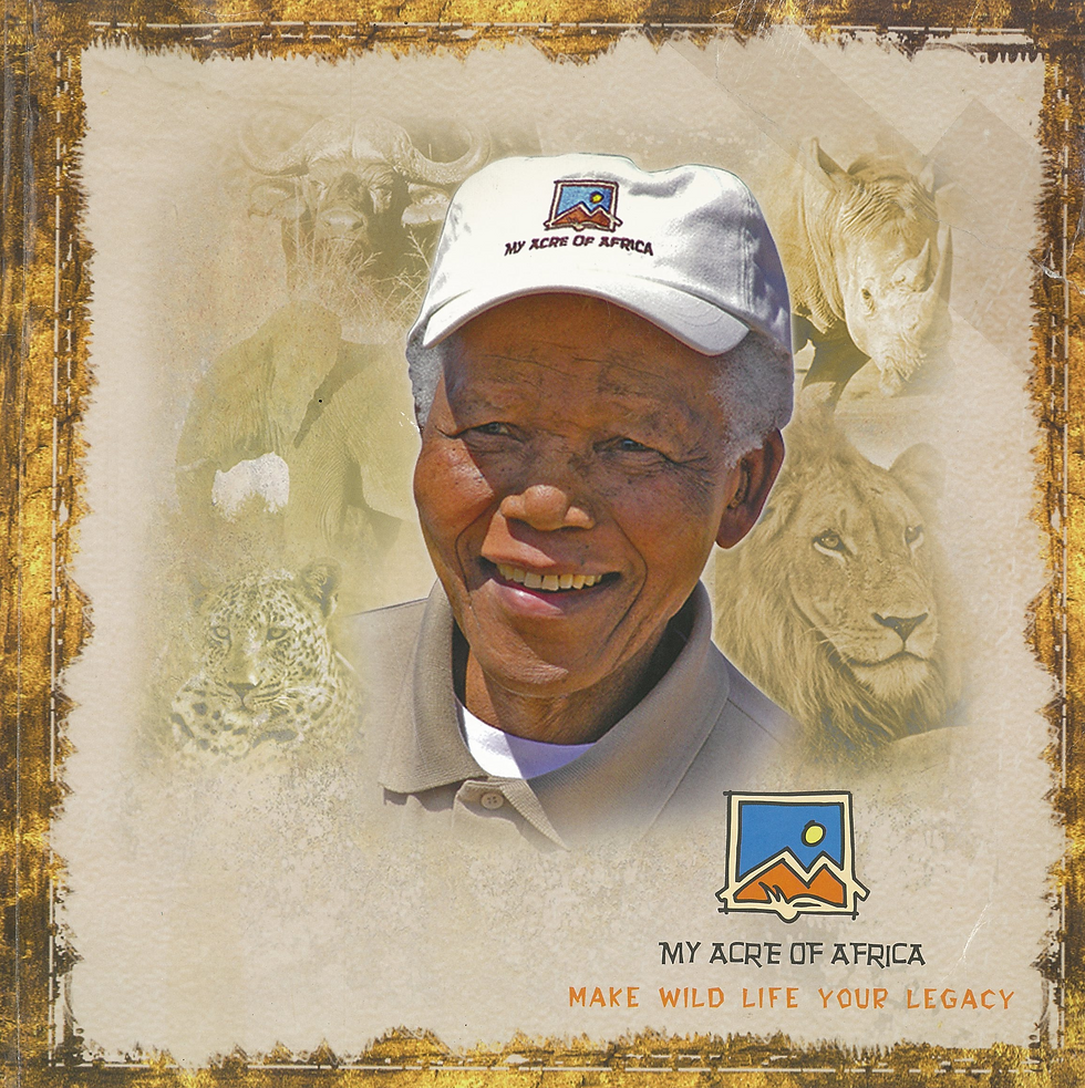 Mandela 2.png