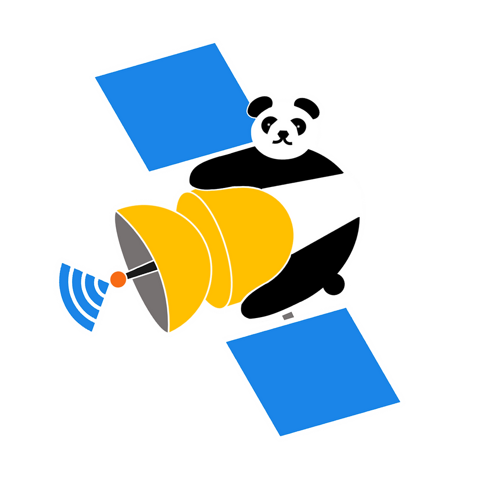 Panda illustration hugging a satellite on black background