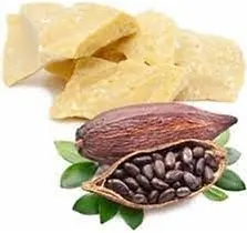 image (12).webp