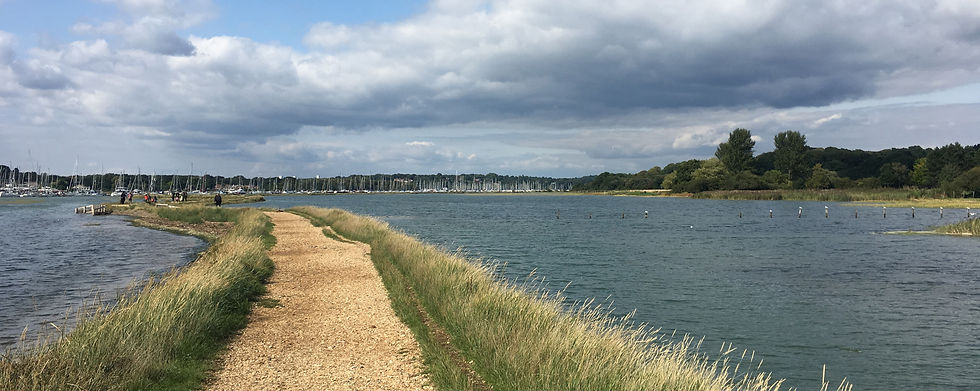 Jemma image 2_CROP.jpg