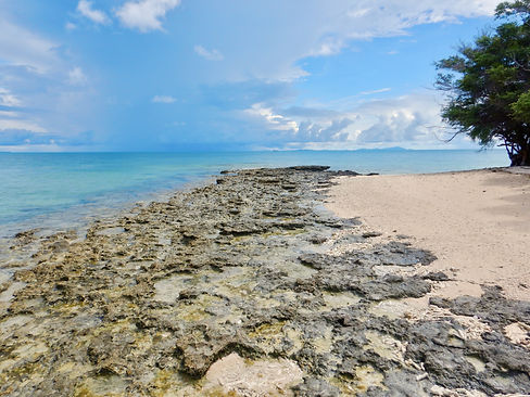 Tuesday Islet in the Torres Strait on a clear blue summer's day. Reef and island structure in the foreground, blue skies and seas in the background.