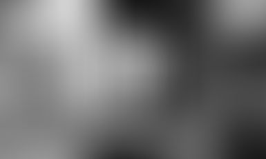 NEWTON (UK) 2026 Online Assessment