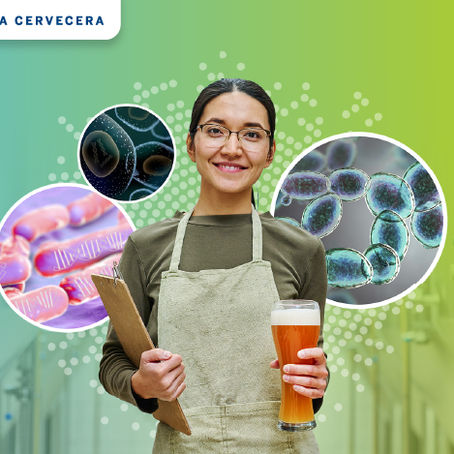 ¿Cuáles son las principales bacterias y levaduras que puedo encontrar en mi cervecería?