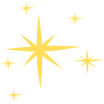 NSL (5).png