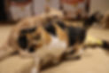 1H4A7459.JPG