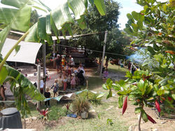 IMGP3275