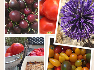 הטבע מלא צבע