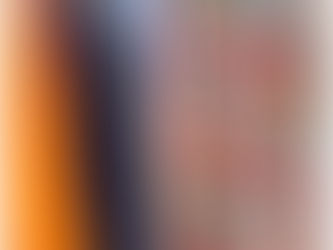 ינואר 2020 -2 תערוכות בפריז ובד חדש לקיץ