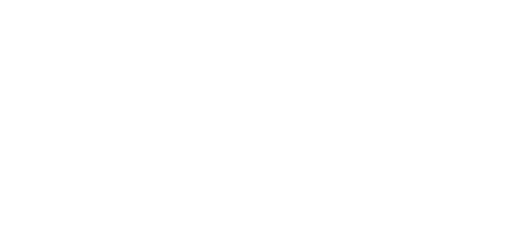 logo-56 (1).png