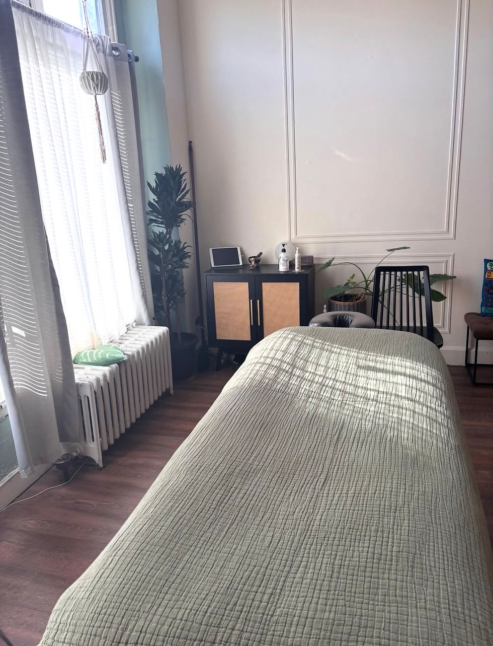 Serene massage room with treatment table, plants, and soft natural daylight.