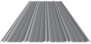 BI-RIB