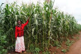 Buy or Sale Quickly |From Dr.Chris