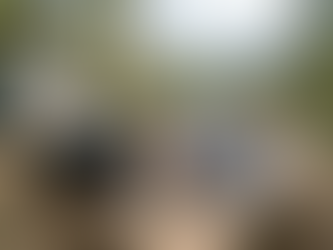 露營電源點樣揀?