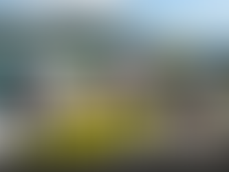 露營亂象逼爆西貢 政府推預約收費制能否根治垃圾問題？