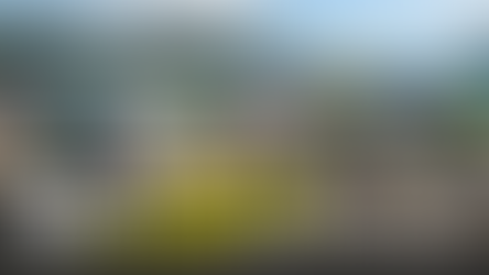 露營亂象逼爆西貢 政府推預約收費制能否根治垃圾問題？