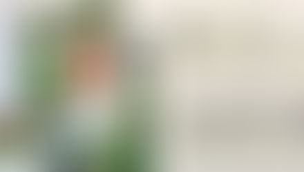 Twee vrolijke schaduwborders