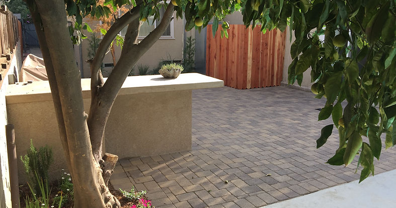 Backyard Makeover