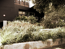 GLD landscape project in West Hollywood