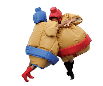 Location jeu de sumo