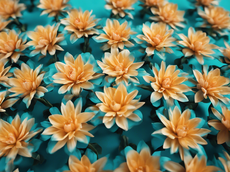 Empowering Your Journey: Life Coaching for Menopause and Beyond