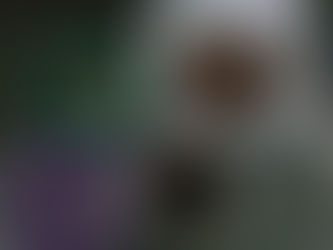 Chocotorta de emergencia