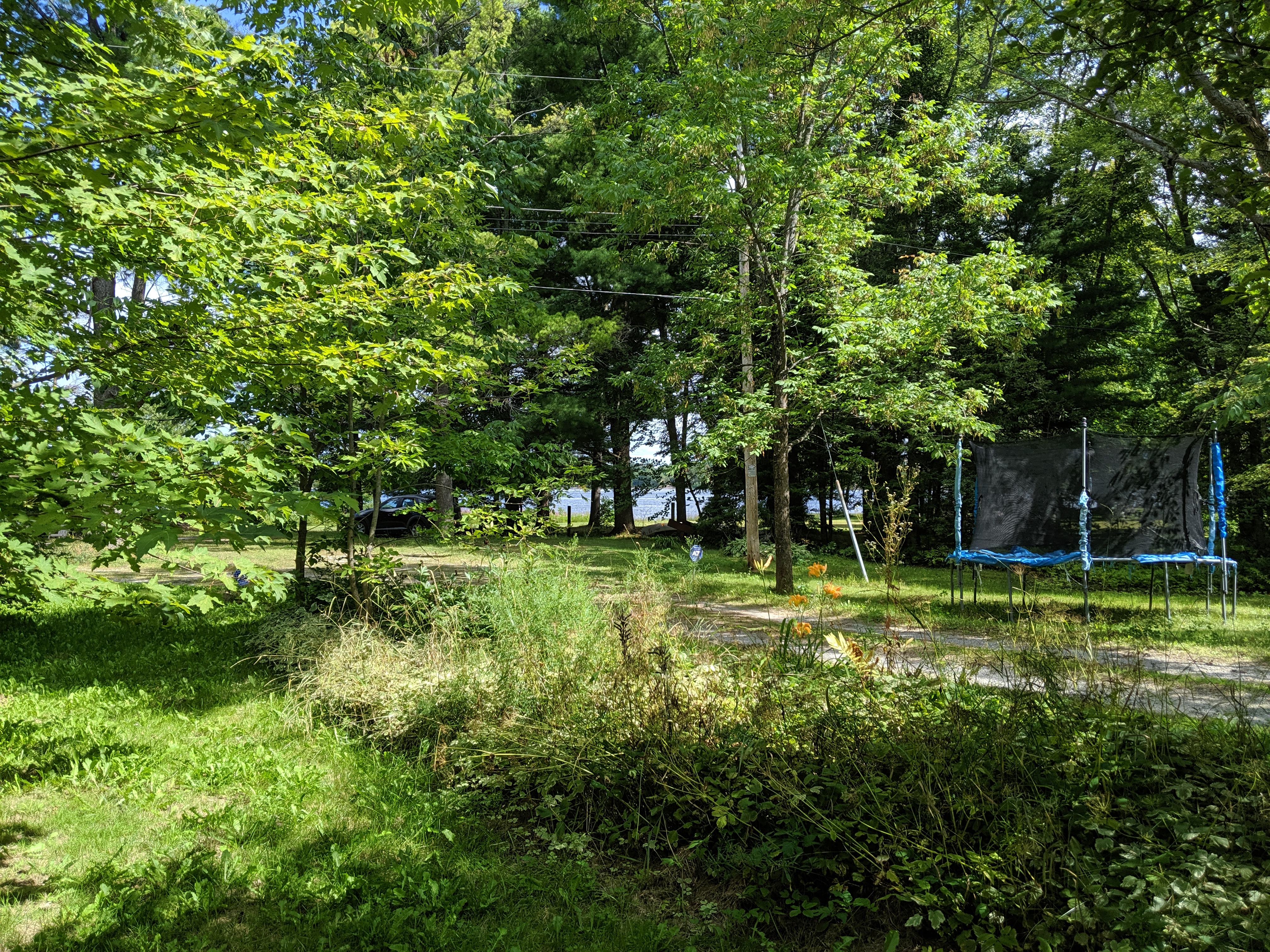 Backyard and Trampoline