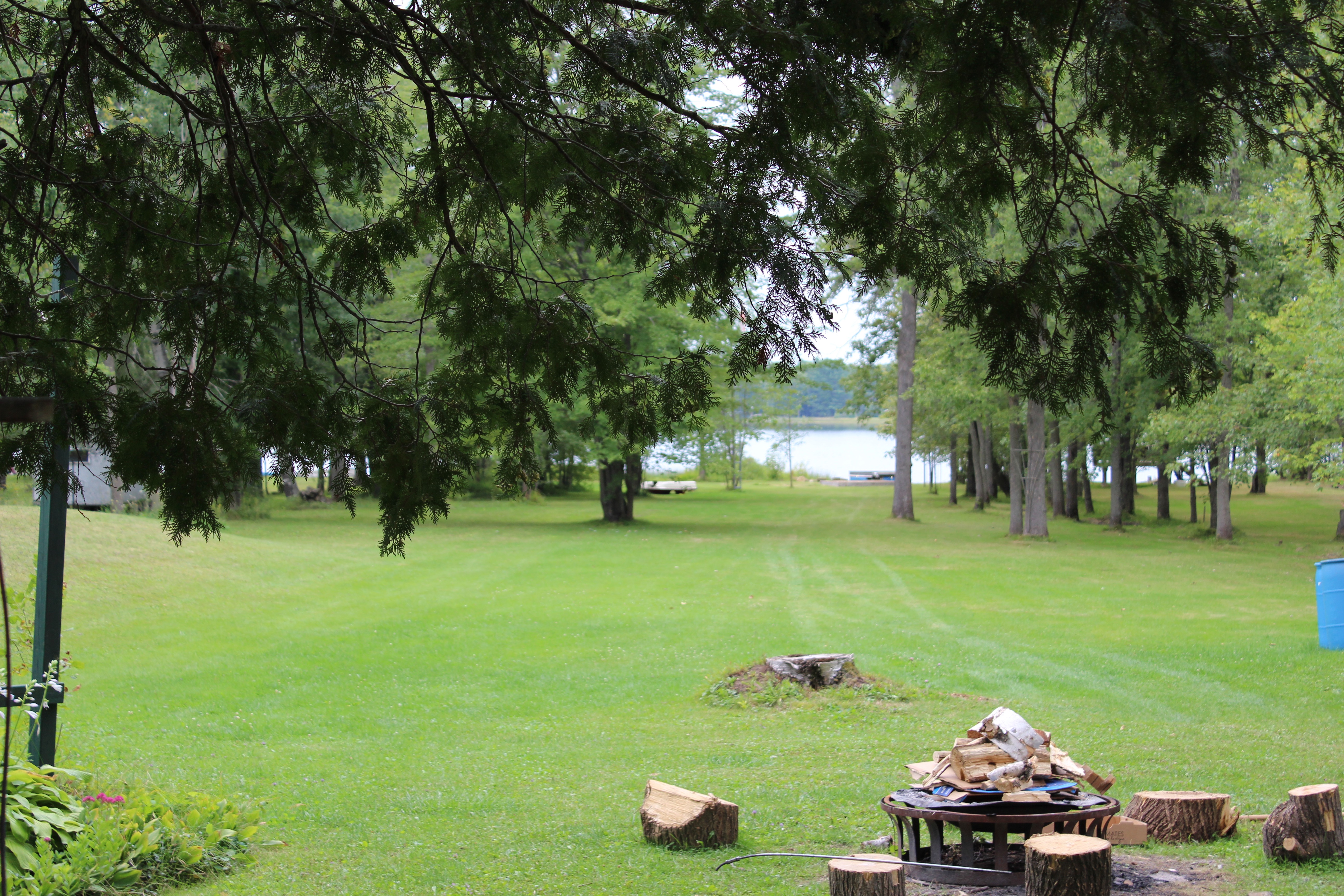Back yard - plenty of space