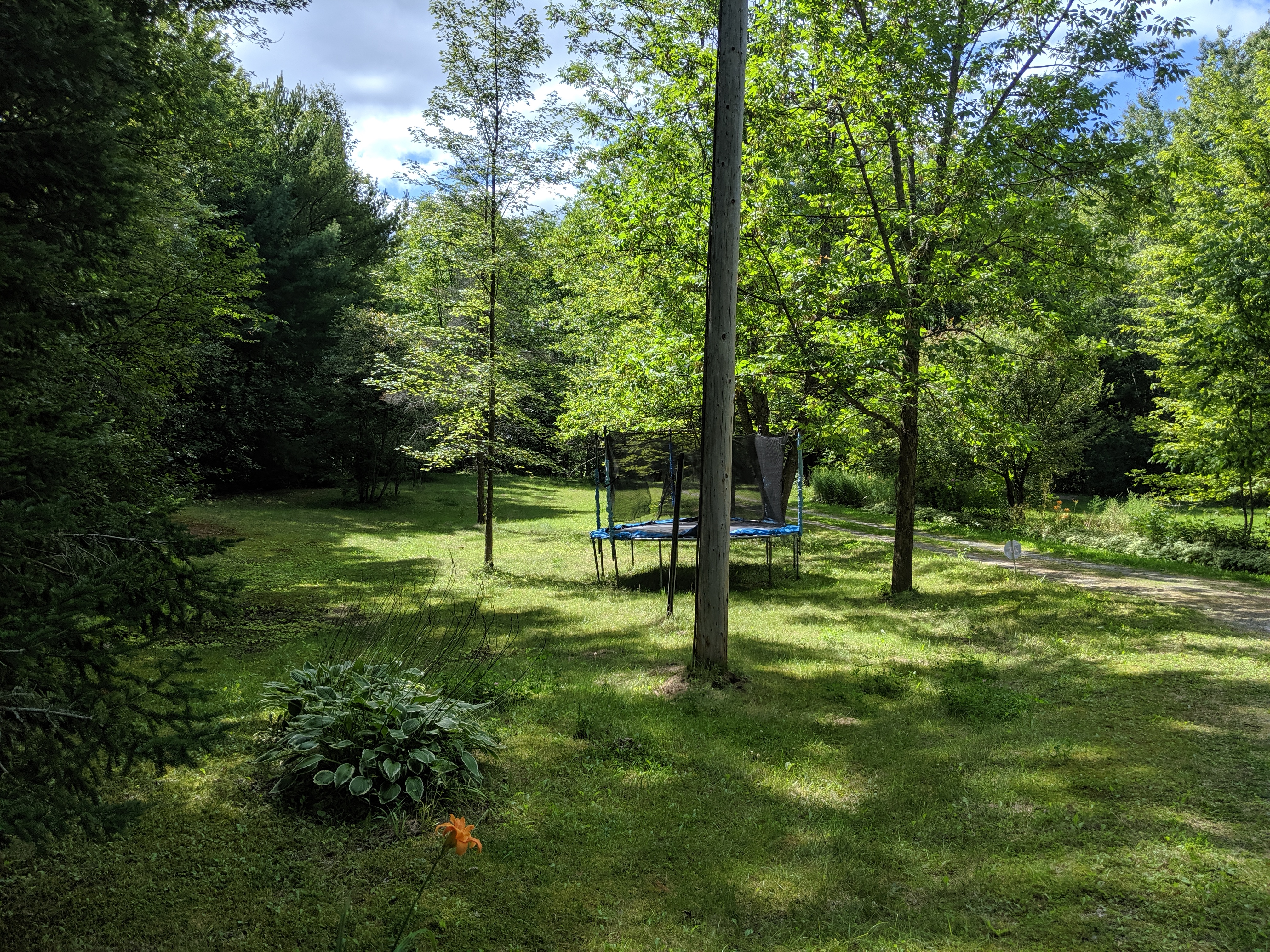 Our backyard