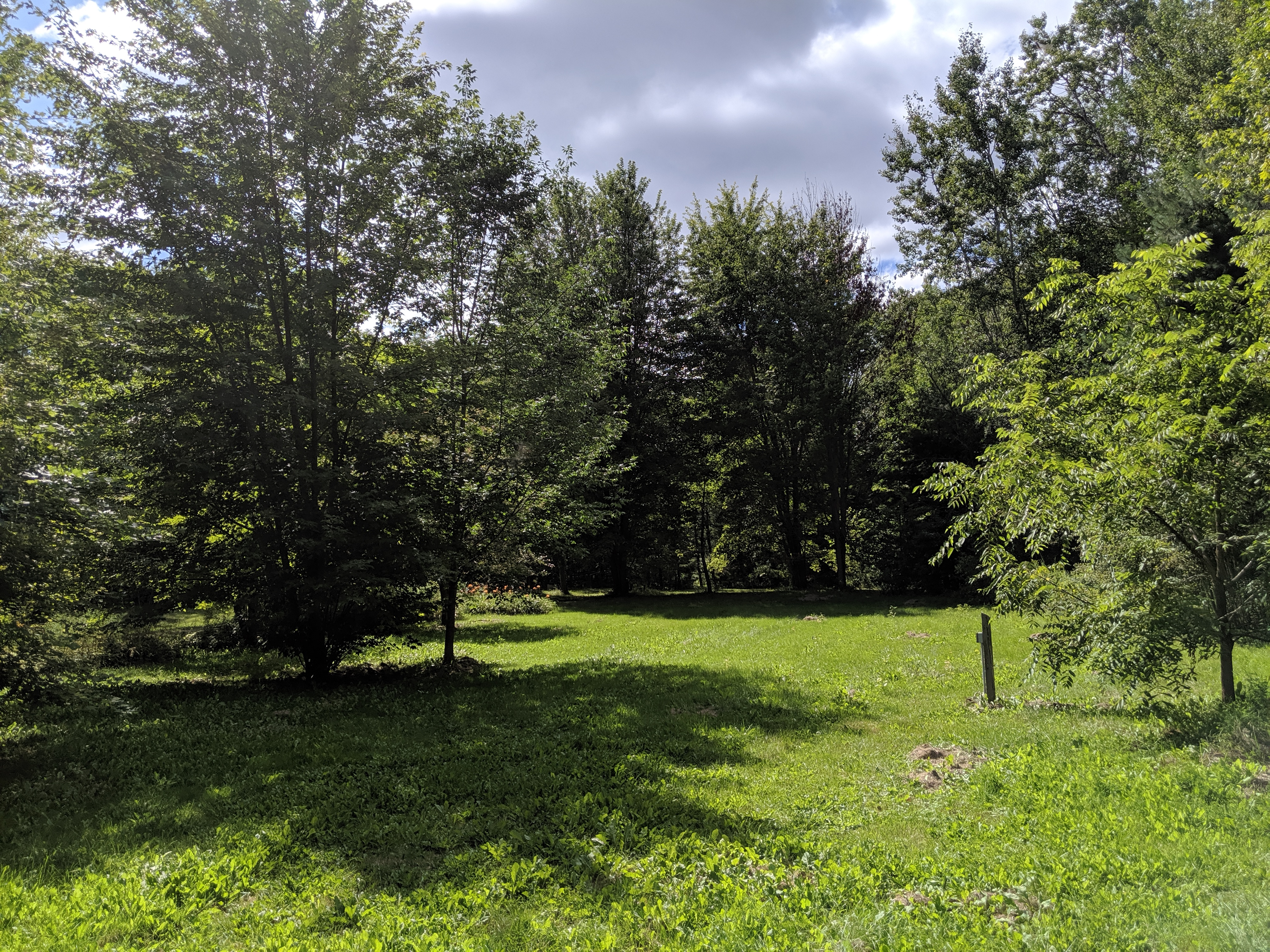 Our backyard