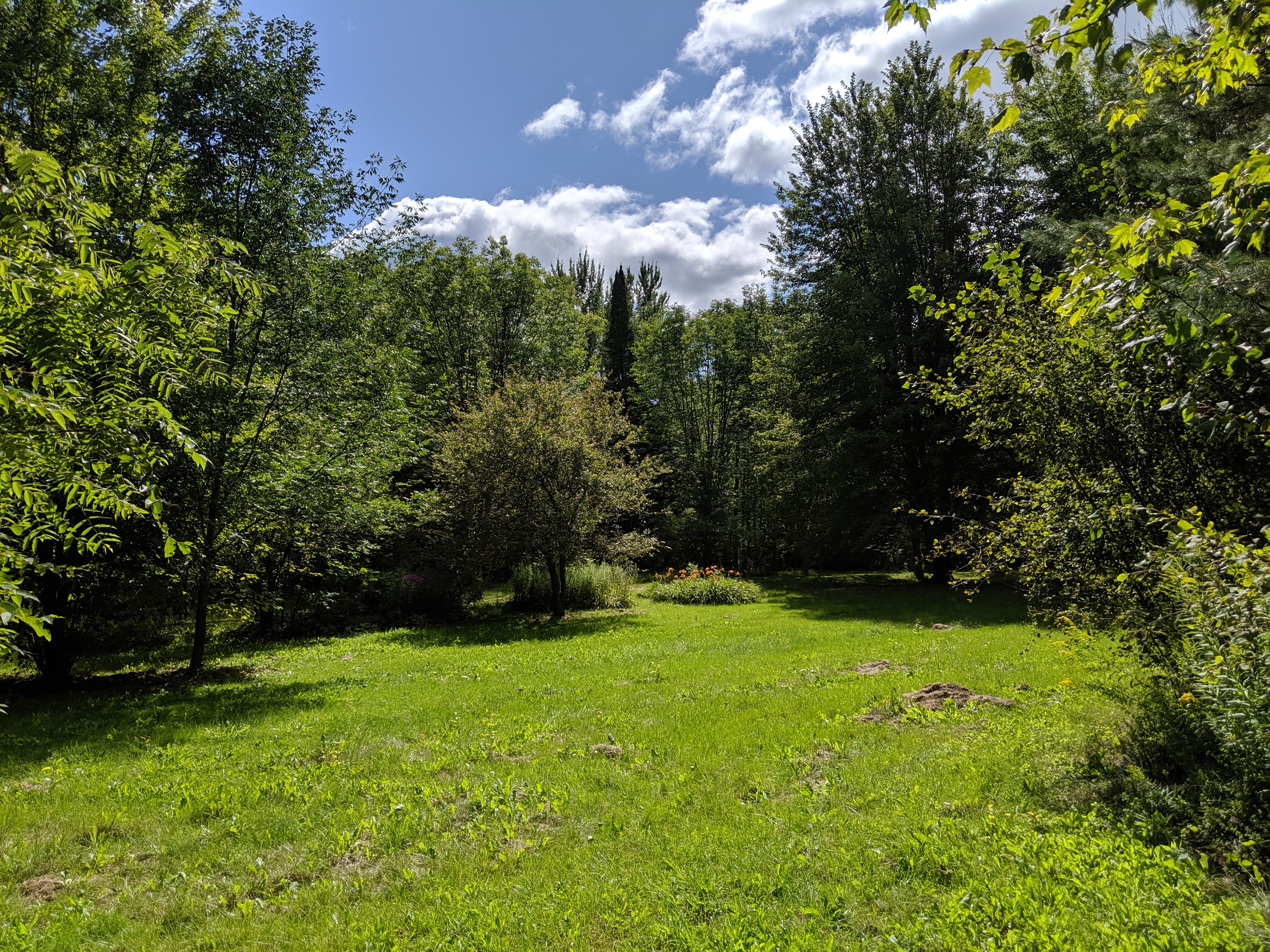Our Backyard