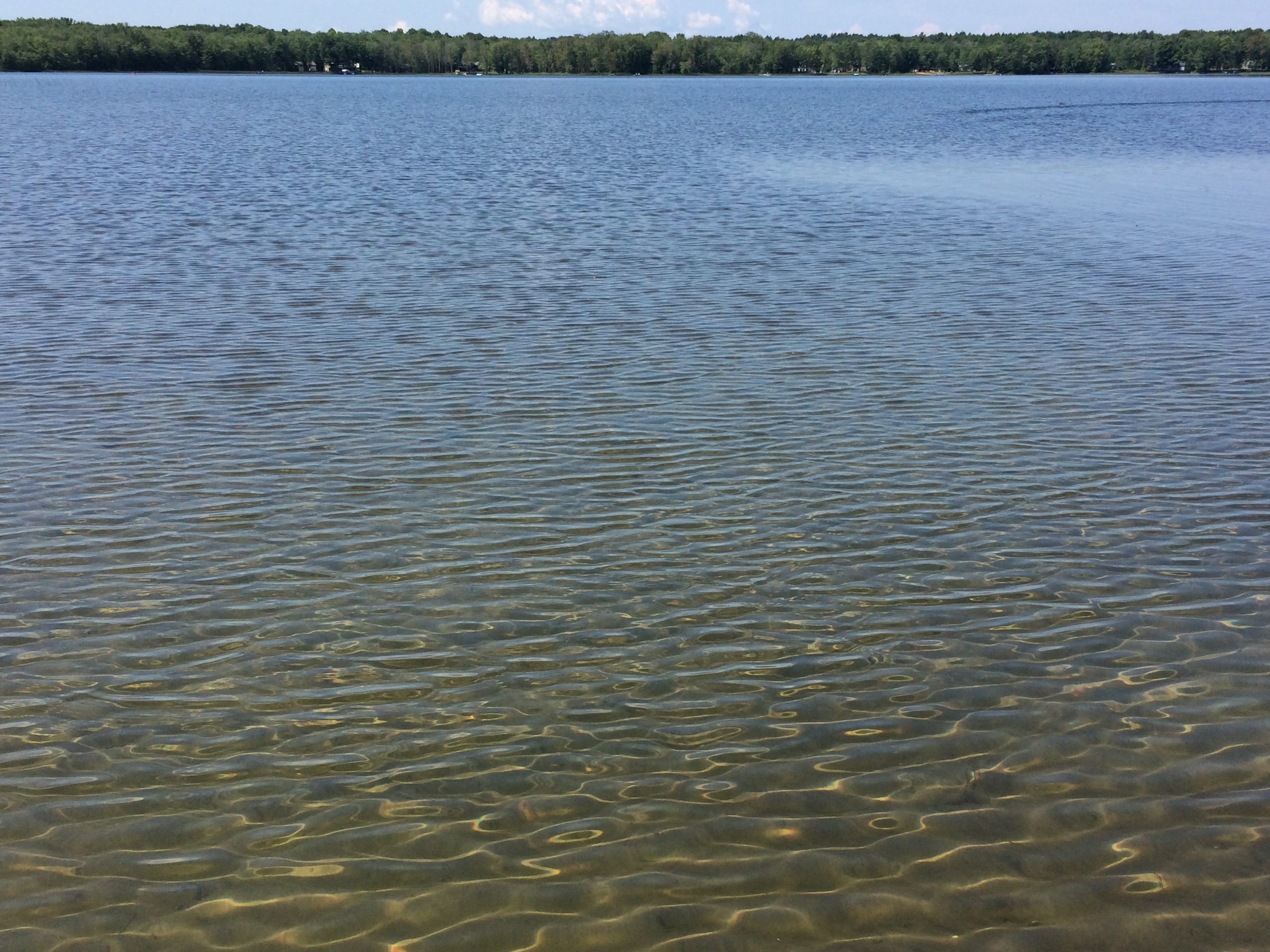 Young Lake